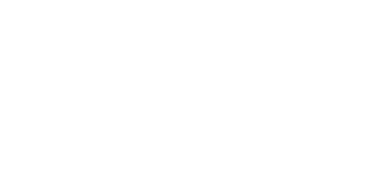 Inelro